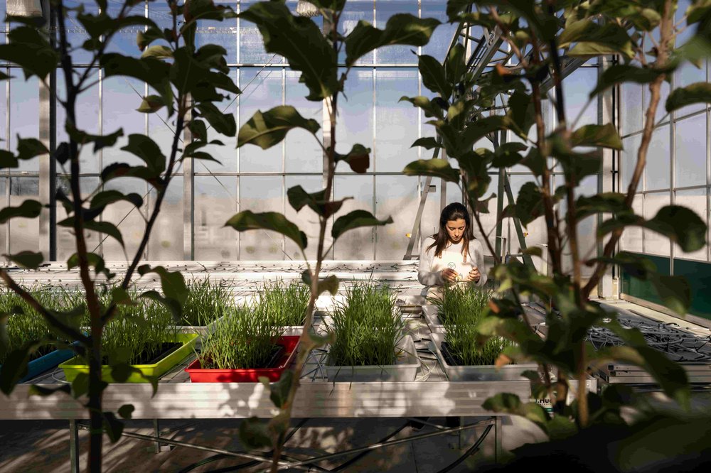 Green Biotech local expert